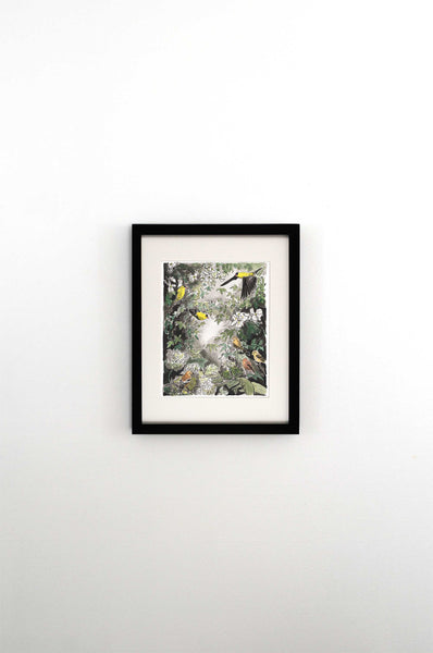 Flora & Feathers I